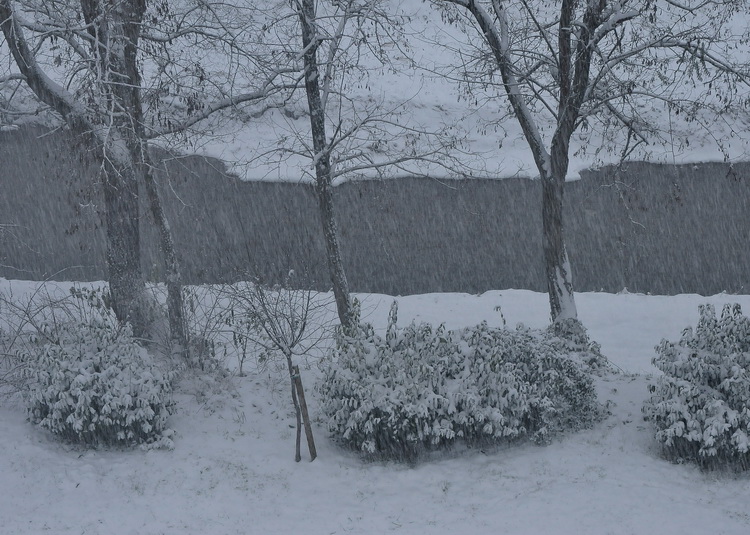 Nevica!!!